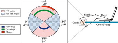 Motorized FES-cycling and closed-loop nonlinear control for power tracking using a finite-time stable torque algorithm